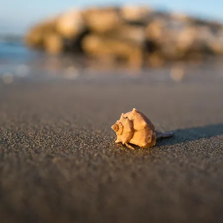 Residenza I Cerchi Appartamento *