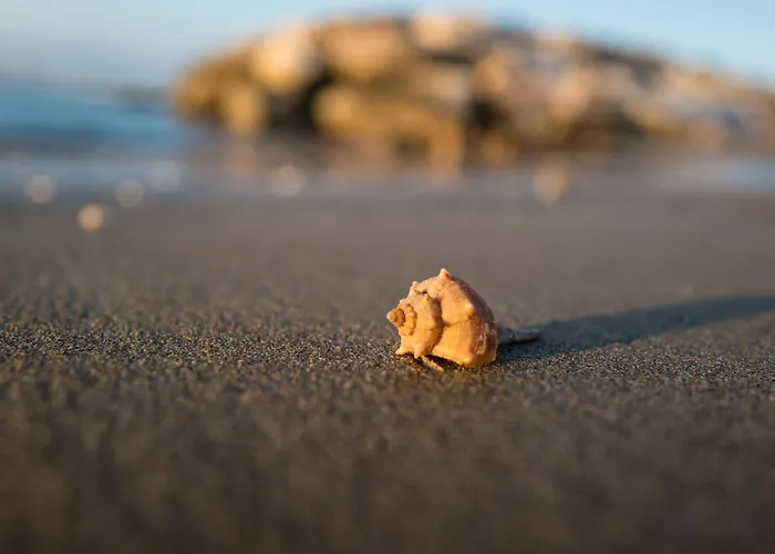 Residenza I Cerchi Lägenhet *